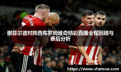 谢菲尔德对阵西布罗姆维奇精彩直播全程回顾与赛后分析